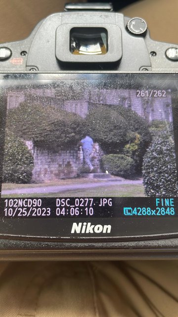 00000087-PHOTO-2023-10-25-16-07-38.jpg thumbnail