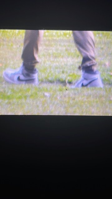 00000097-PHOTO-2023-10-25-21-28-47.jpg thumbnail