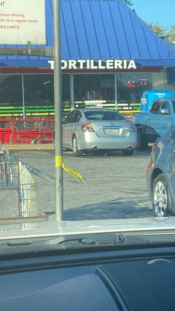 00000222-PHOTO-2023-11-07-16-01-55.jpg thumbnail